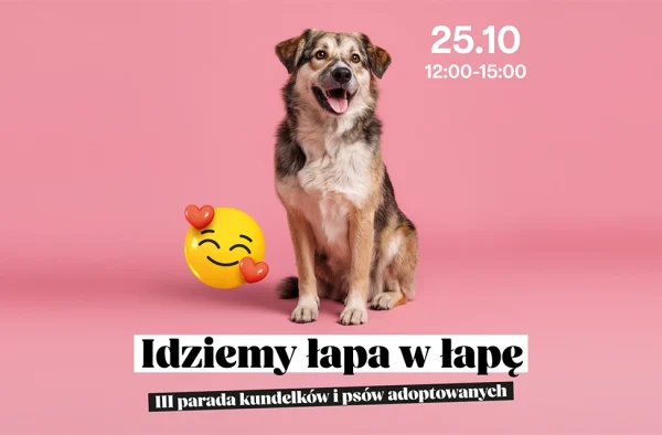 pies na różowym tle z ikonkami