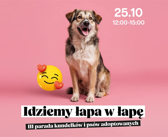 pies na różowym tle z ikonkami